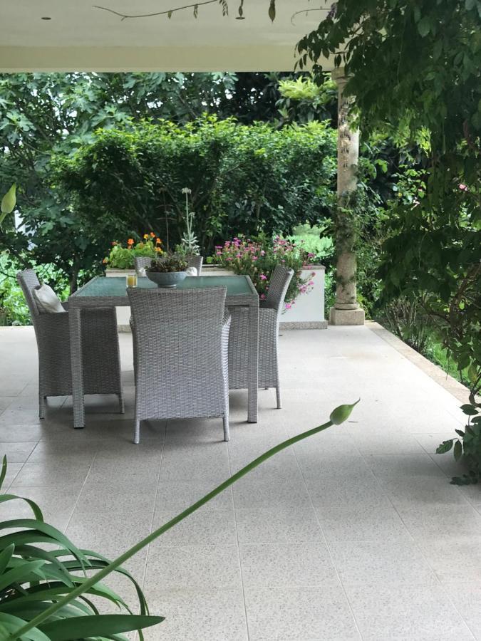 Camelias Panzió Guimarães Kültér fotó
